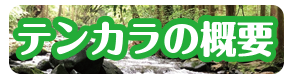 eJ̊Tv